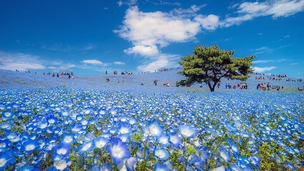Интересные и веселые картинки