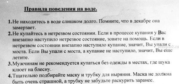 Весёлые картинки