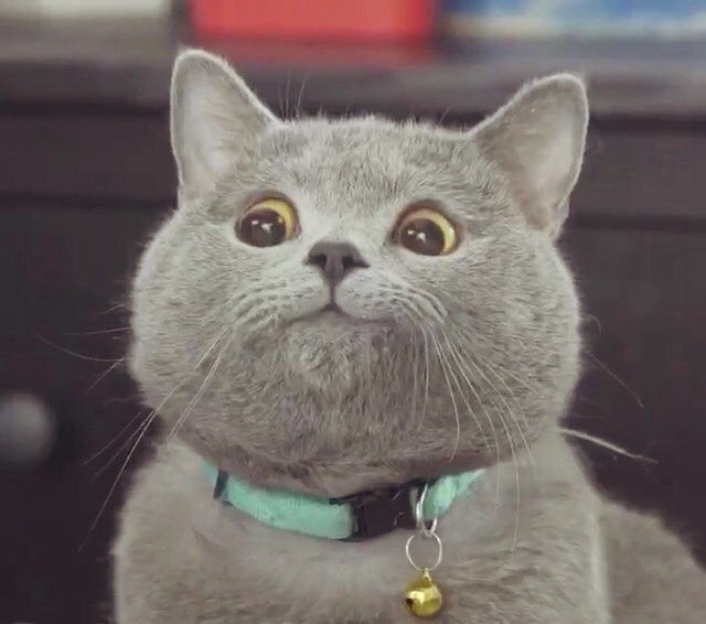 Картинки и приколы из сети