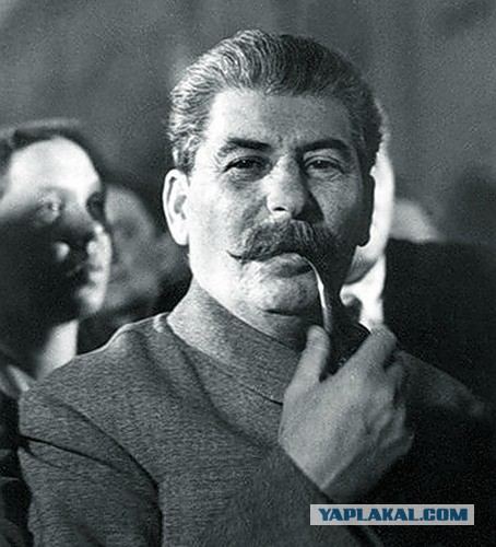 На Поклонскую подали заявление в Генпрокуратуру