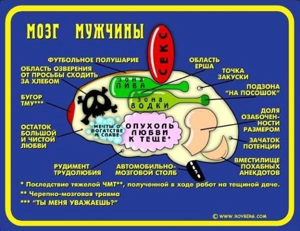 Факты о работе мозга, которые доказывают, что мы способны на все
