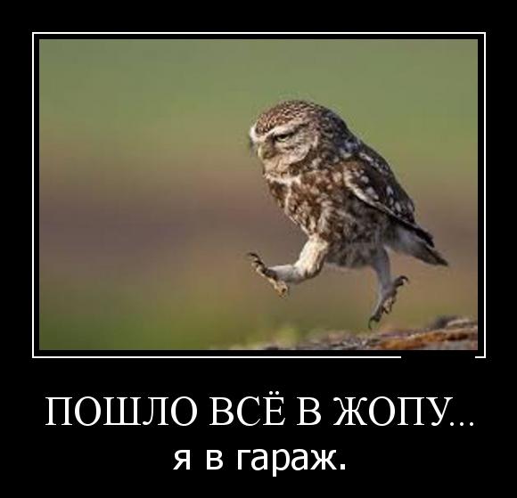 Над Липецкой областью сняли на видео падающий метеорит