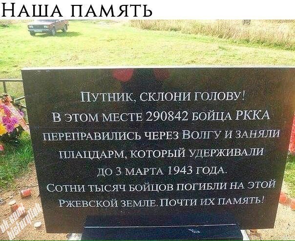 Немного интересных и добрых картинок