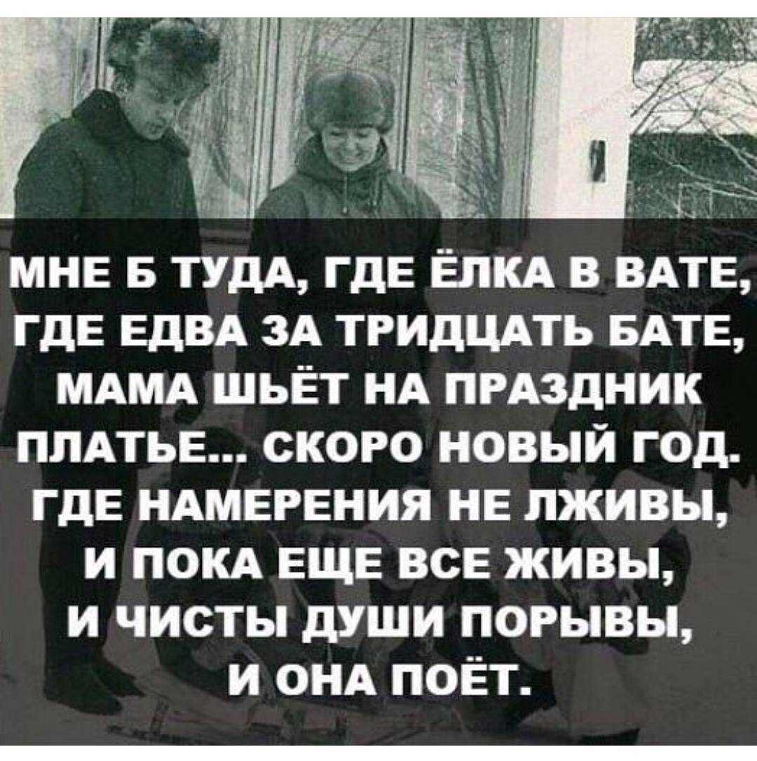12029443.jpg