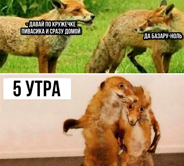 Алкопост на вечер этой пятницы