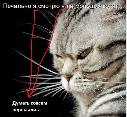 Фото и картинки с надписями
