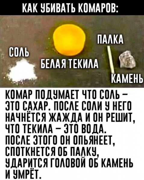 Анекдоты, истории и картинки с надписями