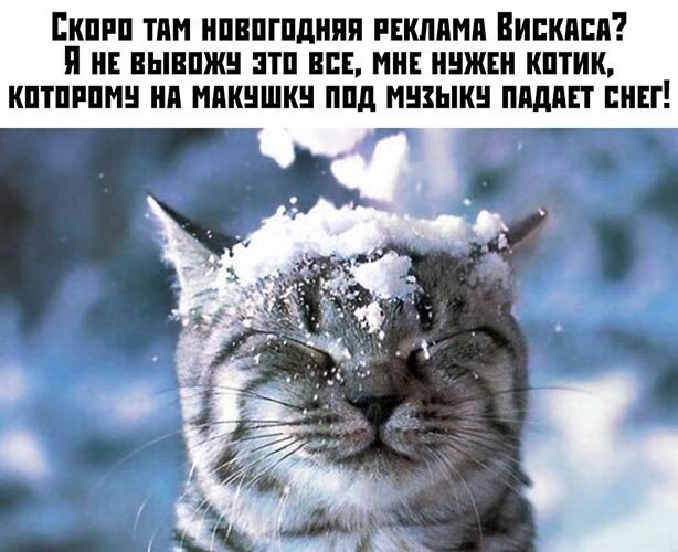 Прикольные картинки и фото с надписями и коментами 12.12.19