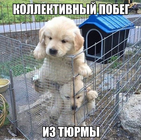 Немного картинок для настроения 27.01.20