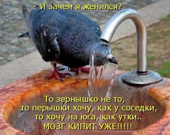 Чуток картинок 10.07.20
