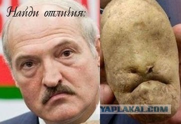 Фотожаба: И все таки они точно среди нас