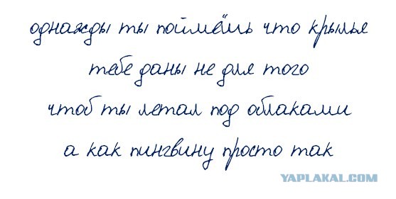 «Мягкая» посадка