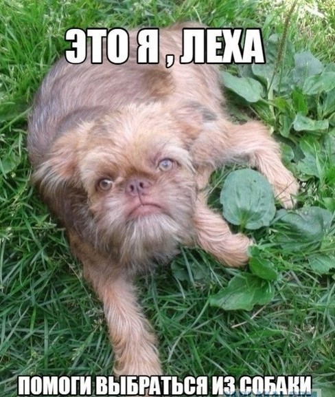 Снова про Лёху
