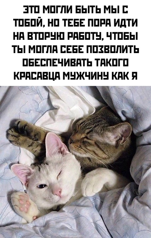 Картинки и мемы для настроения 11.11.2021
