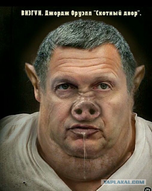 Что у Володи с лицом?