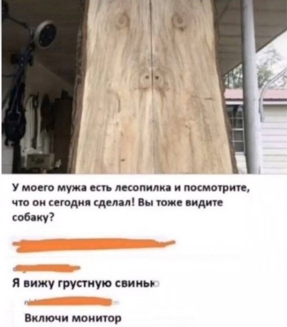 Так себе картинки 25.12.22
