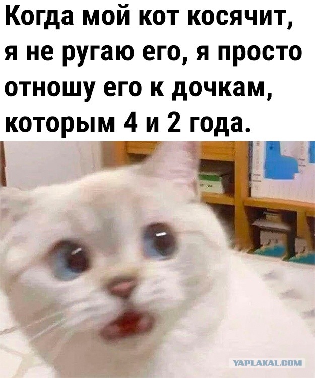 Фото подборка, от Скодеро