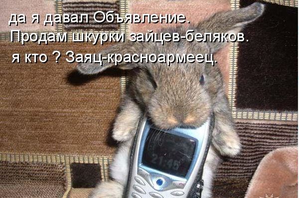 Заяц-беляк: Теперь язык не повернётся называть зайца трусом. Почему хищники часто избегают охоты на него?