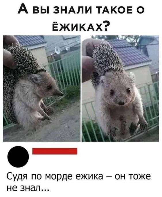 Прикольные и просто красивые картинки 22.03.2024