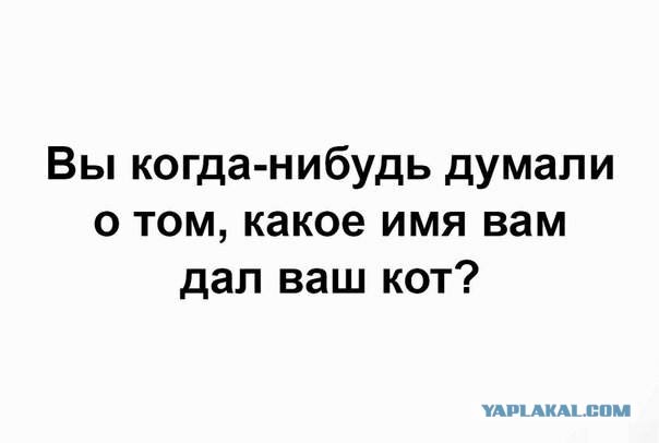 Картинки и буквы 24.06.2024