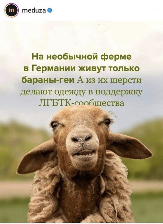 Картинки разные с надписями и без