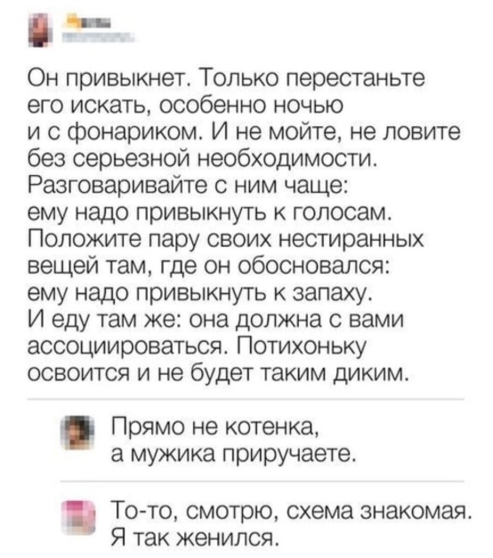 Так себе картинки