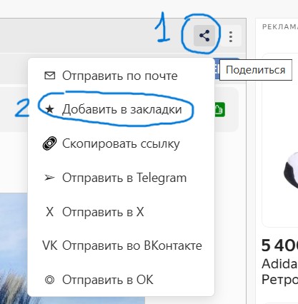 Из зимы в лето. Поездка в ЮАР