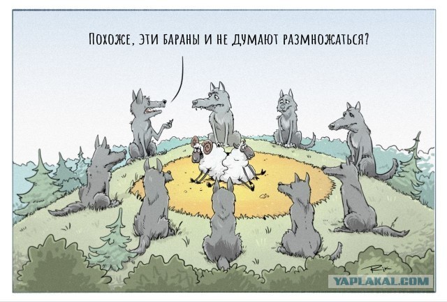 Россиян призвали рожать как в Африке