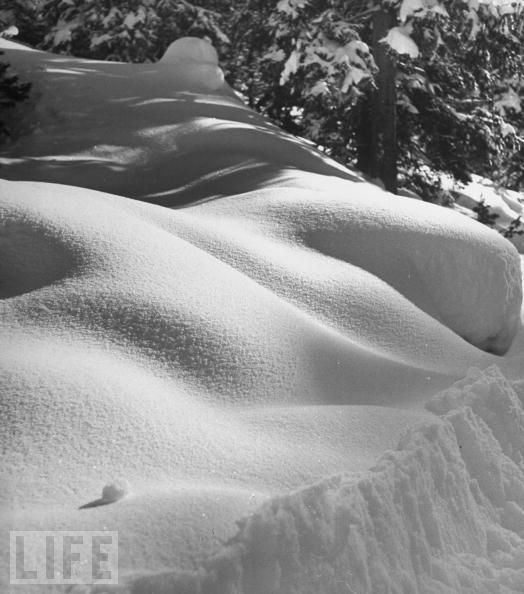 29 необычных фобий в фотографиях (29 фото)