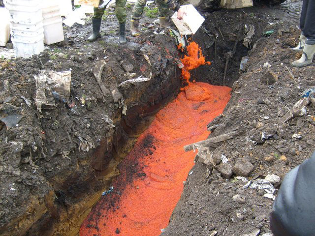 Как сгорает тонна красной икры