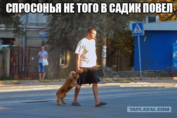 Картинки