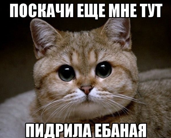 В Луганске сбили Ил-76