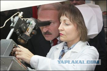 БатькиПост