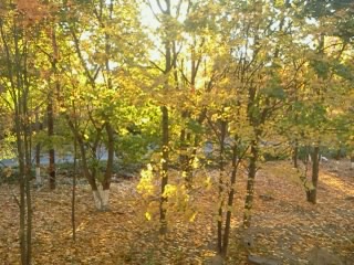 А что у Вас сейчас?