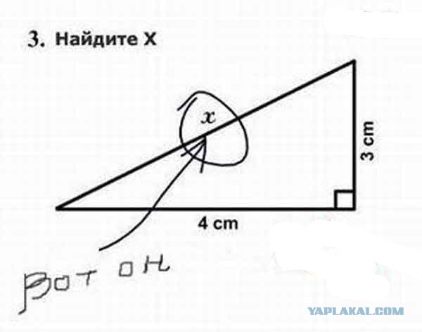 Гениальные ответы на контрольных работах...