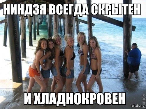 Весёлое из сети