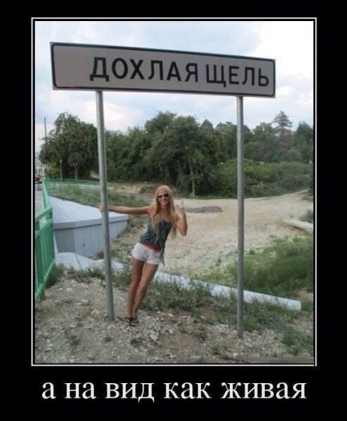 Смешные картинки