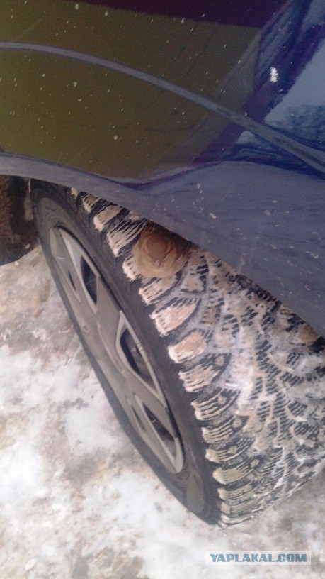 Автошутки.