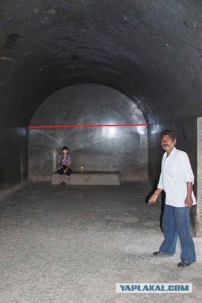 В Египте открыли некрополь Серапеум