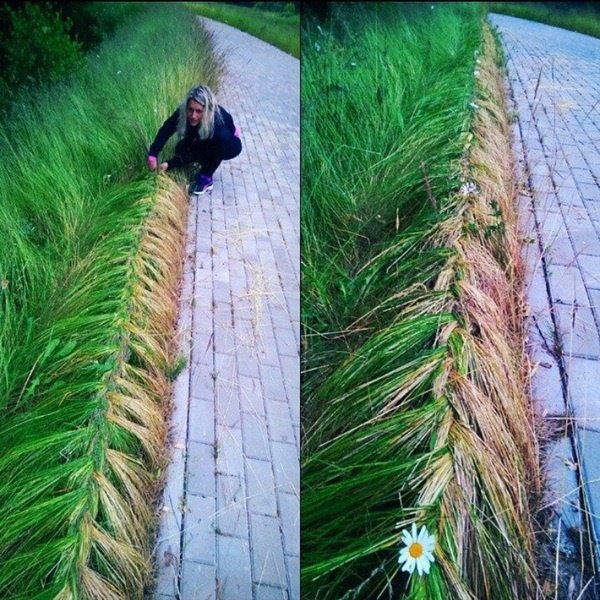 Забавные картинки из Сети