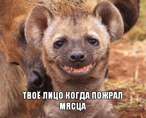 Картинки на пятницу
