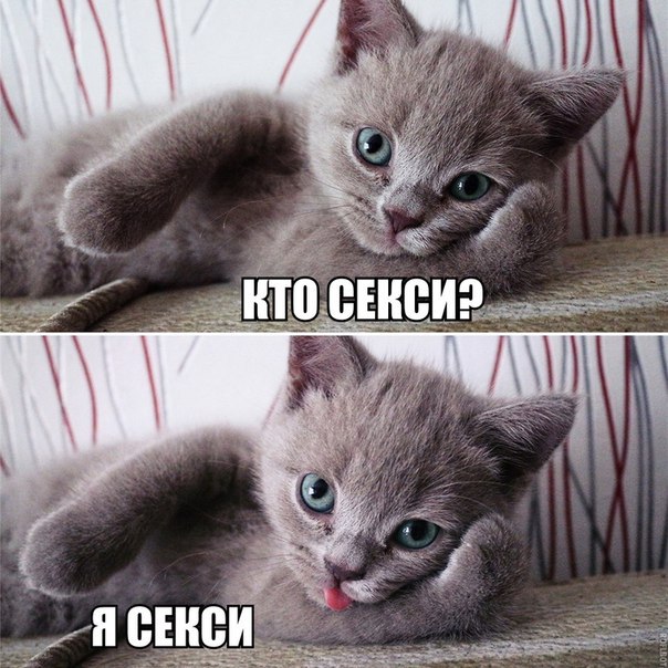 Картинки и гифки