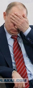Путин с клювом в халате возглавил журавлиный клин