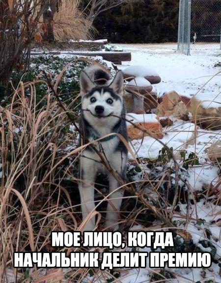 Подборка прикольных картинок