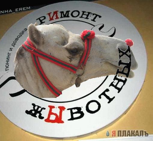 ОБЪЯВЛЕНИЯ. На стенах, в газетах, афиши.
