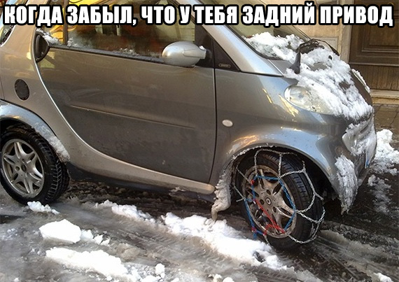 Картинки из сети