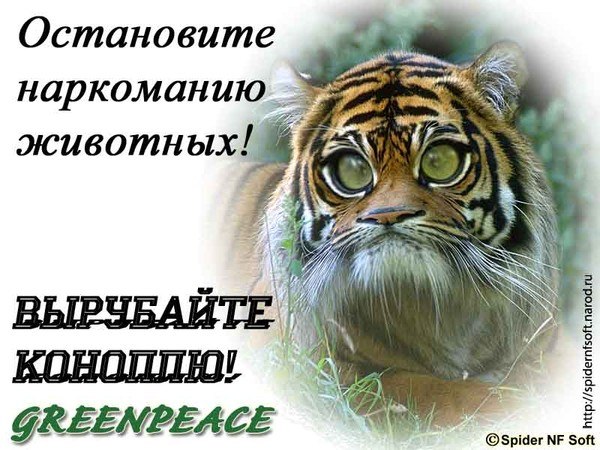 В Москве одноглазый рецидивист изнасиловал фокусницу-иллюзионистку