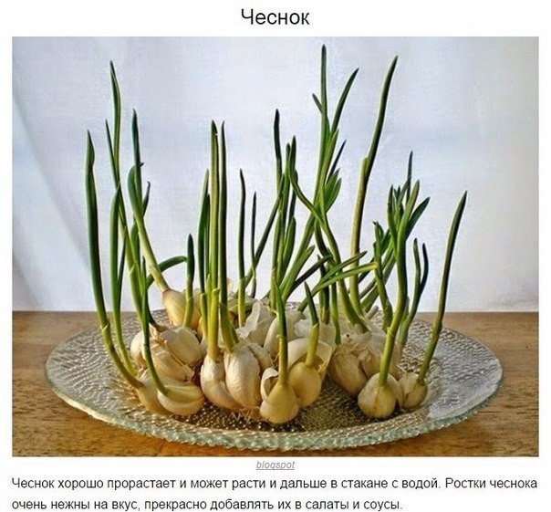 Подборка "тёплых уютных домашних" фотографий, часть 6