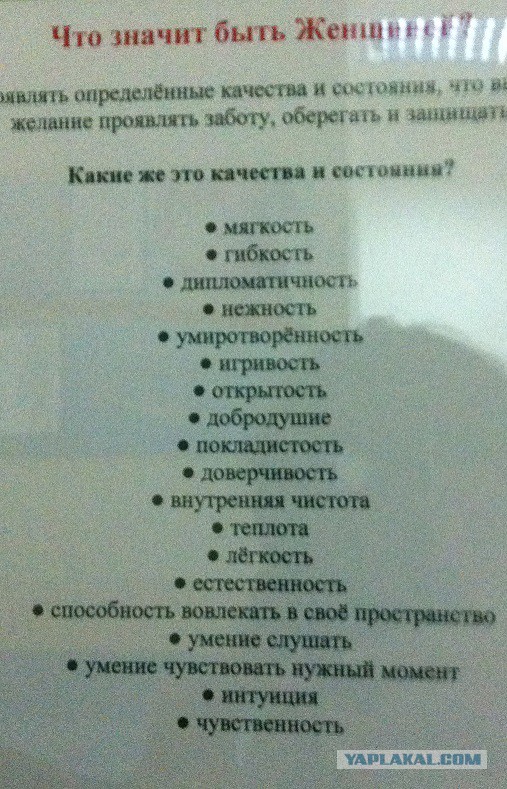 Требования одной дамы на сайте знакомств