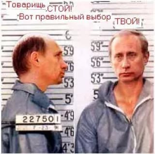 Прямая линия с В. В. Путиным